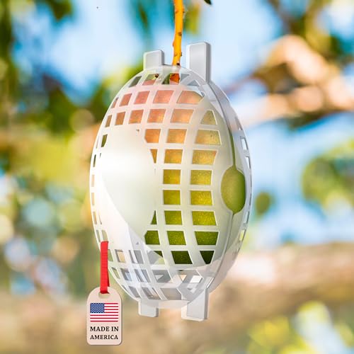 Fruit Protection Cages for Mangoes and More | 2026 Improved Secure-Lock Design | Large 5x8 inch | 24 Pack | Squirrel Resistant | Reusable Heavy-Duty Plastic | Made in USA - size: Large (5 x 8)
