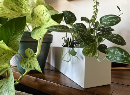 Modern 16" White Steel Trough Planter - Suitable for Indoor Use - color: 1pc White