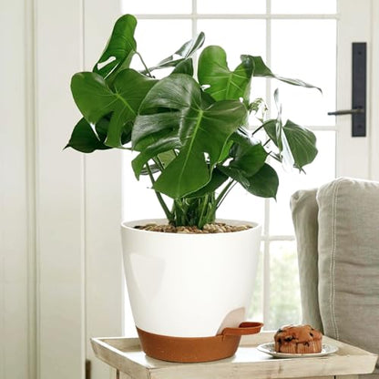 5-Pack Plant Pots with Drainage 7/6.5/6/5.5/5 Inch Self Watering Pots for Indoor Outdoor Plants, Plastic Flower Pots with Drainage Holes and Removable Saucers, Plant Pots with Wicking Rope (White)