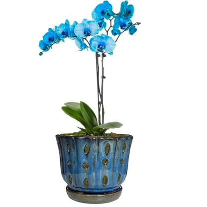 6 inch Round Ceramic Orchid Pot with Holes Orchid Planter (Dark Blue) - color: Dark Blue