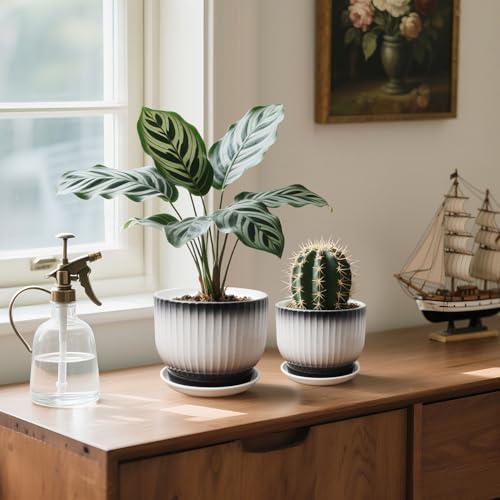 6.7 + 5.5 Inch Ceramic Plant Pots, Set of 2, Black + White - color: Black + White