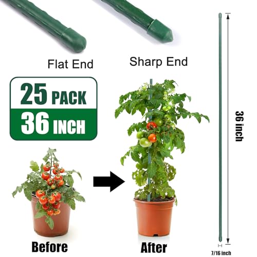 25 Pack 36 Inch Plant Stakes for Peppers,Beans & Tomatoes - size: 36 Inches