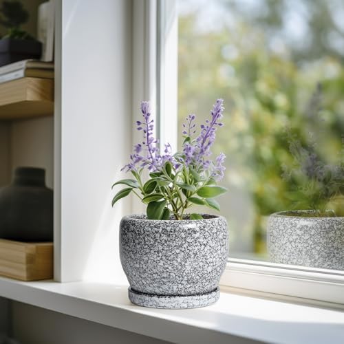 SQOWL Ceramic Pot for Plants - 6 Inch Ceramic Planter for Indoor Outdoor, Decorative Plant Pot with Drainage Hole and Saucer, Round Planter for Flower, Bedroom Decor, Garden Gifts, Black and White - color: Black and White, size: 6 Inch