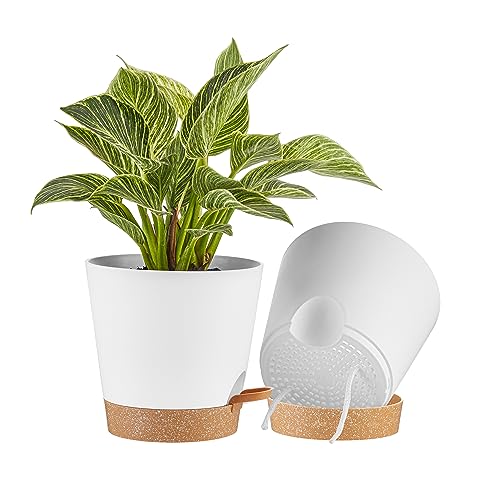 FaithLand 2-Pack 8 Inch Planter Pots for Indoor Outdoor Plants, Self Watering Flower Pots with Deep Reservoir, White with Terracotta … - color: White With Terracotta, size: 8 Inch