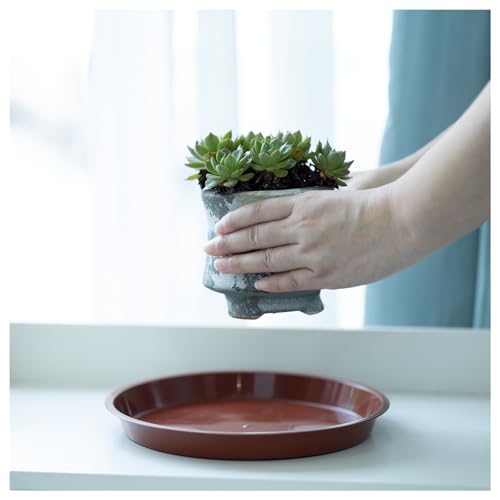 6 Pack 8 Inch Terracotta Plant Saucers Plastic Drip Trays for Pots - color: Terracotta, size: 8 Inch