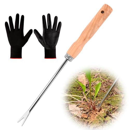 Wooden Handle Dandelion Weeder Tool - Polished Stainless Steel Dual - Forked Head Dandelion Weeder Puller Tool for Planting, Weeding, Flower & Vegetable Care with Nylon Nitrile Coated Gloves - color: silvery