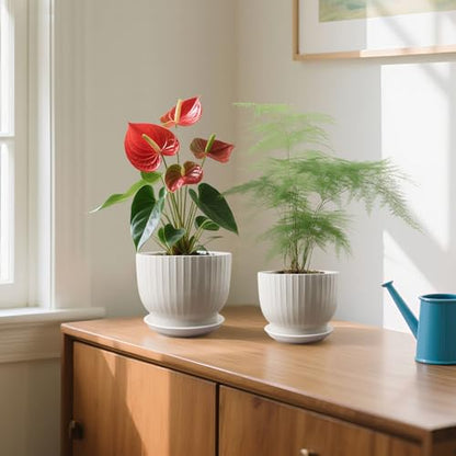 Ceramic Plant Pots,6.7 + 5.5 Inch,White - color: Pure White