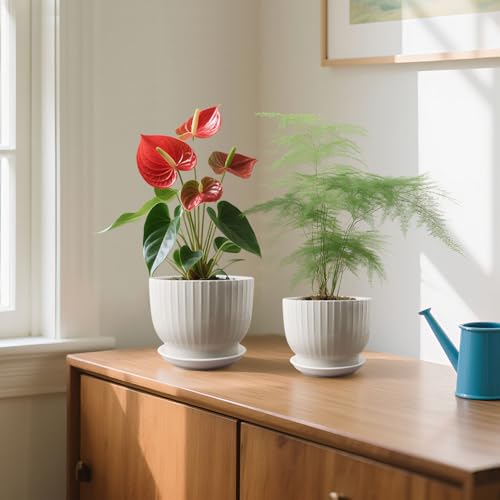 Ceramic Plant Pots,6.7 + 5.5 Inch,White - color: Pure White