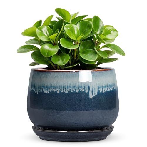 Ceramic Pots for Plants, 6 Inch Plant Pot Indoor, Retro Blue - size: 6 Inch, style: Retro