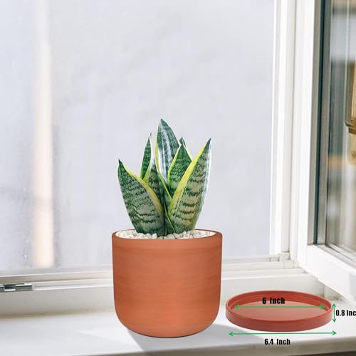 Yukfona Ceramic Plant Saucer Tray 2 Pcs 6.4 Inch Red Terracotta, 6.4"OD x6.02"ID x0.9"Deep| Fits flower pots Bottom≤ 6", Heavy Duty Glazed Round Planter Drip with Catch Basin for Indoor Outdoor Plants - color: Terracotta, size: 6.4in 2pack