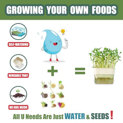 QISHENG - 4 Pack Microgreens Grow Kit,Soil-Free Cultivation Germination Tray,BPA-Free Indoor Sprouting Kit for Growing Bean Sprouts/Organic Seeds/Broccoli/Alfalfa/Radish/Clover (Beige)