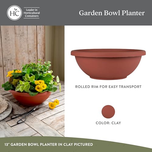 The HC Companies Shallow Planter with Drainage - Contemporary Garden Bowl Planter for Flowers, Herbs & More - Round Succulent Planter Pot for Indoors and Outdoors (15.5" Clay, Pack of 1) - color: Clay, size: 15.5", style: Pack of 1