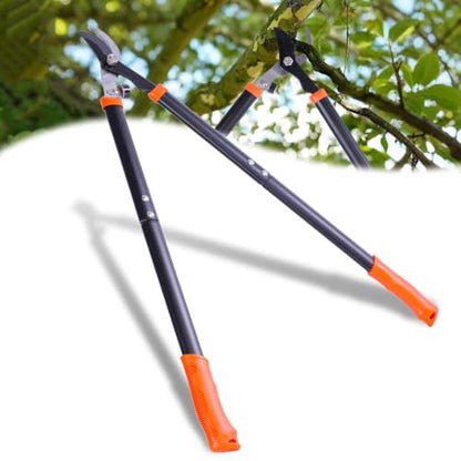Bypass Loppers for Tree Trimming