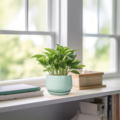 G EPGardening Ceramic Plants Pots - 4 inch Plant Pots Indoor, Green - color: Mint Green, size: 4 Inch