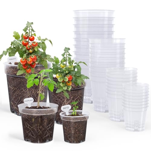 homenote 3/4/5/6.7 Inch Clear PP Nursery Pots with Drainage Holes (36 Pcs) - color: Transparency-no Lid, size: 3/4/5/6.7 Inch-36 Pack