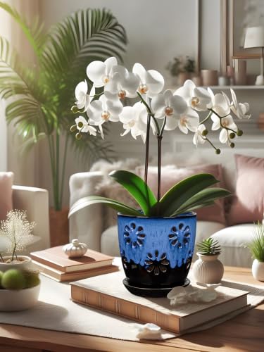 6 inch Orchid Pots with Holes Blue Black Ceramic Orchid Pot for Repotting - color: Blue&black