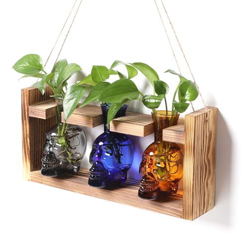 Plant Terrarium Propagation Stations Skull Planter Vase Skulls Decor - color: Color-03