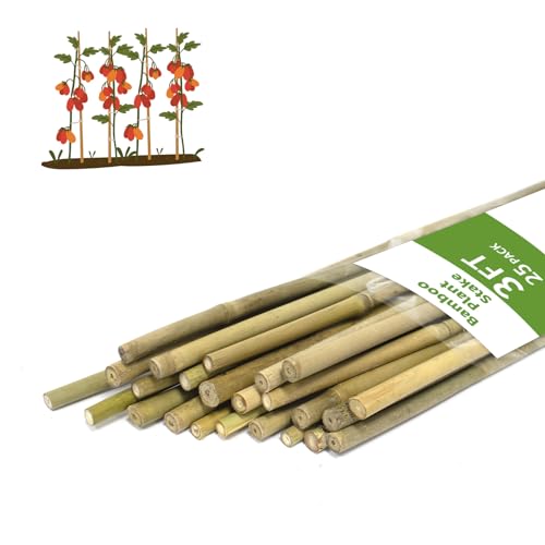 Plant Stakes, 3FT Natural Bamboo Garden Stakes, 25Pcs Bamboo Plant Stakes,Bamboo Sticks for Tomato,Beans,Vegetable and Climbing Plants - size: 3 Ft, 25 Pack