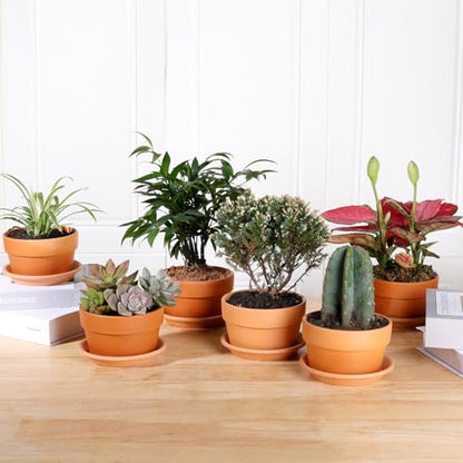 INGOFIN 5 Inch Terracotta Shallow Pots Set with Saucer - Ceramic Clay Pots with Drainage Hole, Terra Cotta for Plants for Indoor Outdoor Plants, Set of 6 - size: Shallow 5 inch-6 pcs