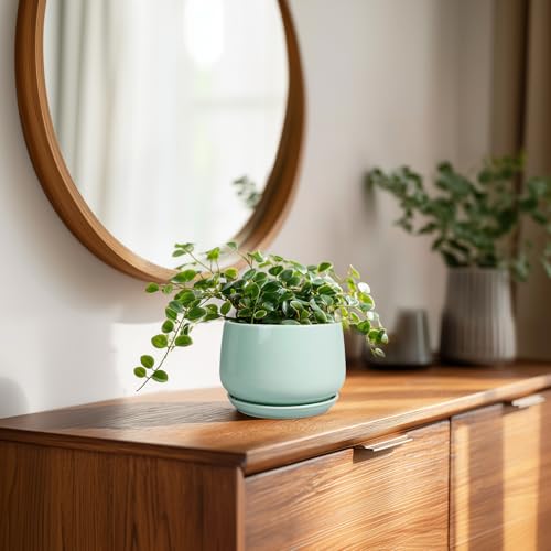 G EPGardening Ceramic Plants Pots - 4 inch Plant Pots Indoor, Green - color: Mint Green, size: 4 Inch