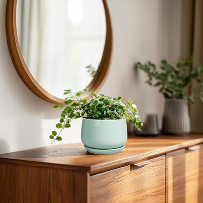G EPGardening Ceramic Plants Pots - 4 inch Plant Pots Indoor, Green - color: Mint Green, size: 4 Inch