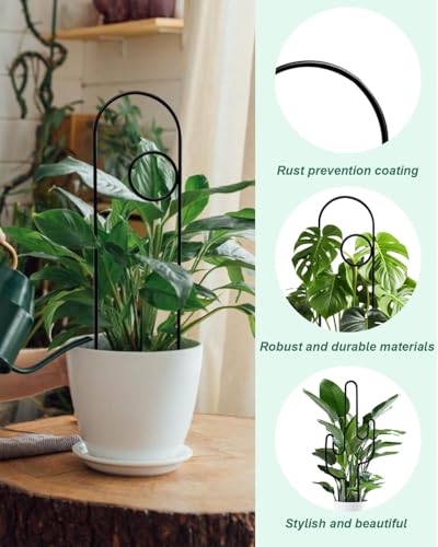 Black Small Plant Trellis for Climbing Plants Indoor, 13.8 Inch Trellis