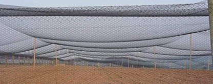 Poultry Netting 1" or 2" Mesh Heavy Knotted Nets Aviary Gamefowl Quail Chicken Bird Block Net Long Lasting Break/Burst 85/245 lb Polyethylene 8-10 Year Lifespan (25' X 150', 1) - size: 25' X 150'