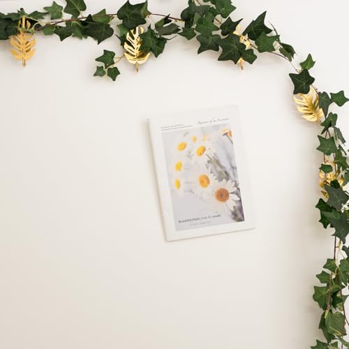 15 Pack Money Plant Hooks for Wall - Indoor Pothos Plant Support - color: Gold