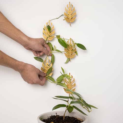 15 Pack Money Plant Hooks for Wall - Indoor Pothos Plant Support - color: Gold