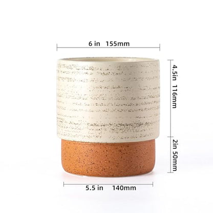 6 Inch Ceramic Self Watering Planter with Drainage Hole, Brush - color: Brush, size: Small