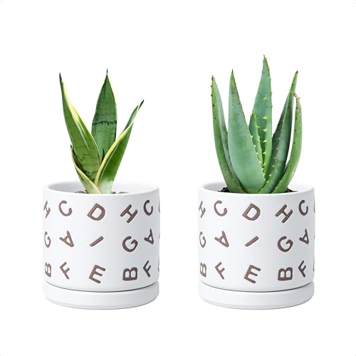 D'vine Dev Set of 2 Ceramic Planter Pots with Drainage Hole and Saucer, 4.5 Inch Plant Pots for Plants Indoor Houseplants, White, 99-Z-G-1-V - size: 4", style: Letters White