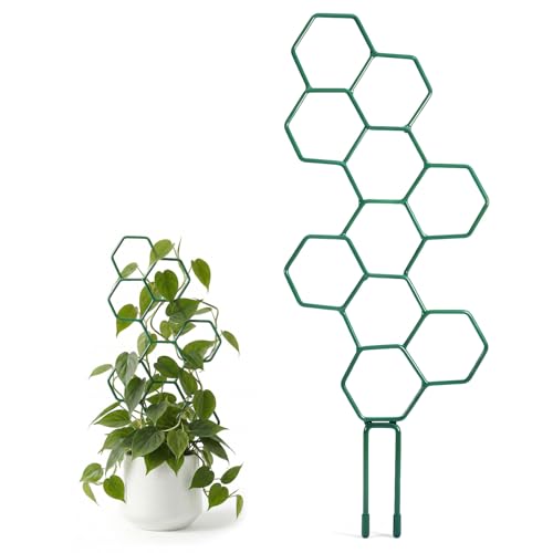Small Trellis for Potted Plants, 14 Inch Indoor Trellis for Climbing Plants Honeycomb Shape Metal Plant Trellis for Pots Plant Climbing Support for Flower Hoya Pothos Houseplants(Green) - color: Green