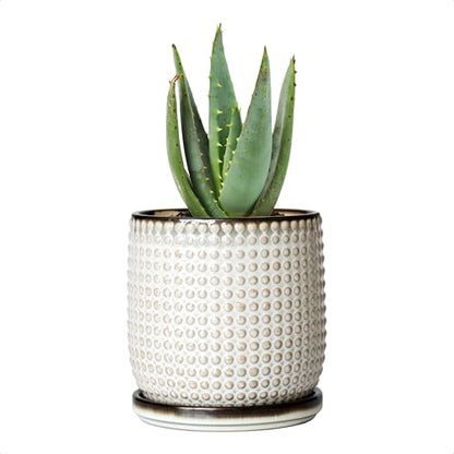 D'vine Dev Beaded Ceramic Pot with Saucer, 4 in, Smoked White, 27-C-Z-1 - color: Smoked White, size: 4.3 Inch