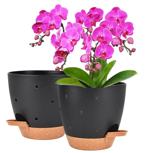Vanslogreen 6 Inch Orchid Pots with Holes, 2 Pack Self Watering Planters for Orchids Plastic Orchid Pot Plant Flower Pots for Orchids Indoor Outdoor (Black with Brown) - color: Style Round-black With Brown