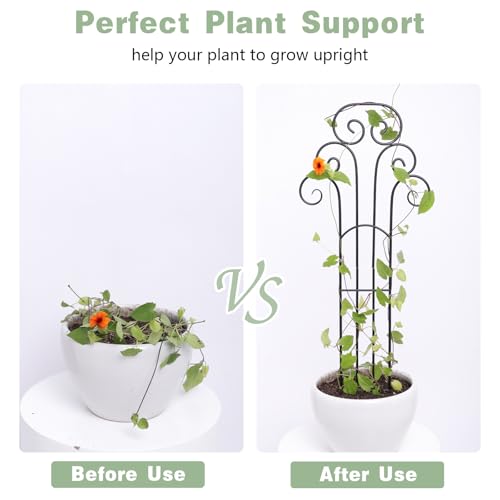 31 Inch Trellis for Potted Plants - Iron Support for Climbing Vines - size: 31"H