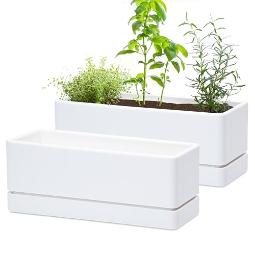 D'vine Dev 2-Pack Rectangular Planters, 12 x 4.5 in, White, 76-X-A-2 - color: White
