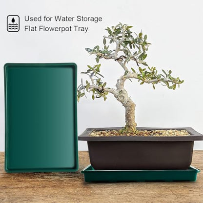 RooTrimmer 5 Pack Seed Starter Trays (17"x11"x2"), Plastic Flat Nursery Pots Trays, Durable Carrying Seedling Starter Tray, Reusable Tray for Planting and Collecting Drainage Water (Green) - color: Green, size: Holding Trays-5P