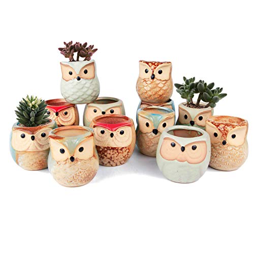 T4U Owl Succulent Pots, Mini Ceramic Planter, Retro Decor Gift Set of 12 - color: Owl, size: Pack of 12