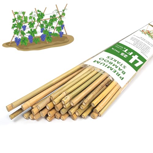 GAGINANG Natural Bamboo Garden Stakes, 4FT Trellis Plant Support 25Pcs - size: 4Ft,Pack of 25