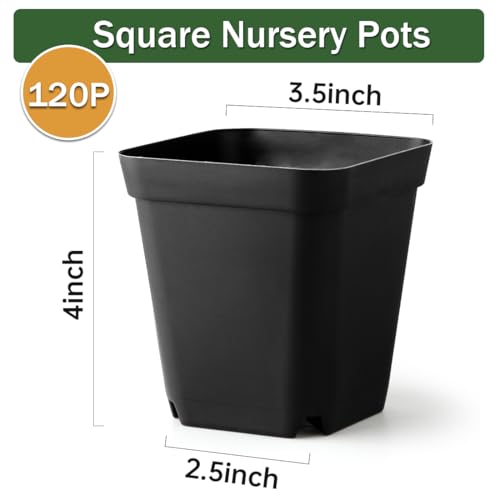 BTPLASTIK Small Plant Pots 3.5 Inch, 120 Pcs Nursery Pots with Drainage Holes, Durable Plastic Succulents Pots for Seedlings, Cuttings (Black) - color: Black, size: 3.5 Inch-120P