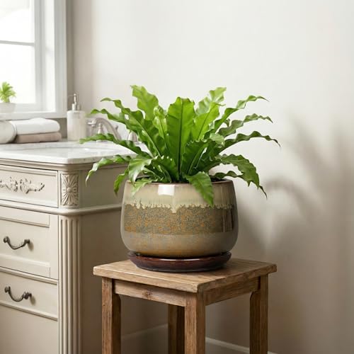 Ceramic Planter, 9 Inch Ceramic Plant Pots Indoor, Brown-Beige - size: 9 Inch, style: Brown-beige
