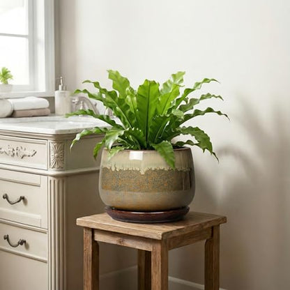 Ceramic Planter, 9 Inch Ceramic Plant Pots Indoor, Brown-Beige - size: 9 Inch, style: Brown-beige
