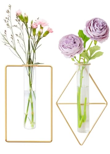 2 Pack IvyMei Luxurious Nordic Gold Wall Vase Metal Frame Glass Tube - color: Gold 9