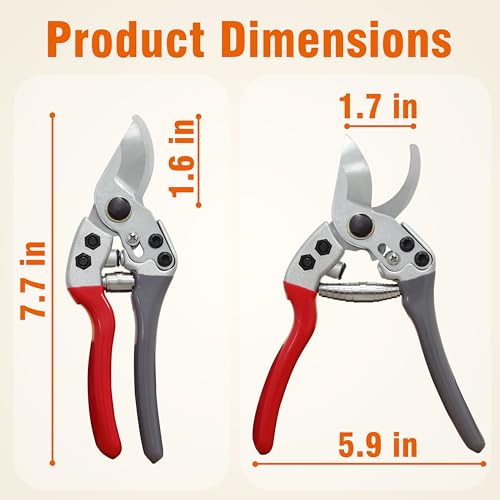 Gardzen 8" Bypass Prunning Shear Garden Scissors