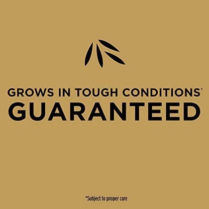 Scotts EZ Seed Patch & Repair Bermudagrass, 20 lbs. - size: 20 lb., style: 1 Pack