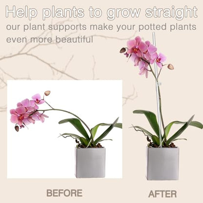 18IN Plant Stakes, Plant Sticks 20PCS Acrylic Clear Plant Support Stakes - size: 18 Inches