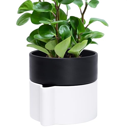 Phoenix Vine 6.5 Inch Self-Watering Planter Pot with Terracotta Insert, Deep Water Reservoir, and Ceramic-Alike BPA-Free Plastic Pot for Plant, Modern Planter for Houseplants, White/Black, 53-B-S-4 - color: White/Black, size: 6.5 Inch