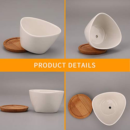 Succluent Pots,12 Pack Small Flower Pots,Planter Pots with Drinage
