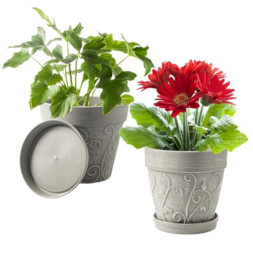 Melphoe Plant Pots Indoor with Drainage & Saucer, 2Pack 8 inch Flower Pots Outdoor Planters for Indoor Plants Garden Home Decor Cactus Succulent, Rigid Plastic (Imitation-Terracotta) Vine-Embossed - color: Cement Grey Color, size: 8 inch
