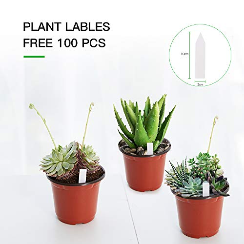 JERIA 100-Pack 6 Inch Plastic Nursery Pots Come with 100 Pcs Labels, Seedling Flower Plant Container and Seed Starting Pots - size: 6 Inch